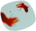 Yume-no-Yume Goldfish Ceramic Plate Incense Burner by Nippon kodo