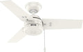 Hunter 36" Cassius Indoor/Outdoor Ceiling Fan, Pull Chain, Fresh White | Covered patios and porches get a no-light design, droop-free blades, compact scale, and easy setup for small spaces.