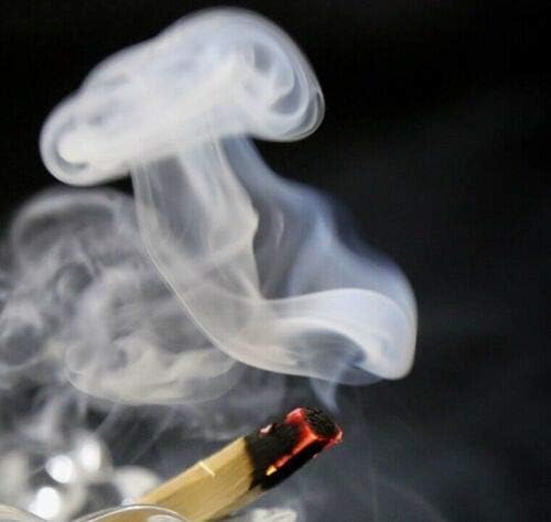 palo Santo Metal Holder and Incense Burner with 10 Sticks