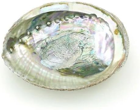 Colorful Large Abalone Shell Bowl 4-4.5 Inch Natural Smudge Bowl for Sage Burning and Incense Sea Shell Smudging Bowl for Decor and Display, Incense Holders