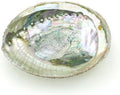 Colorful Fashionable Large Abalone Shell Bowl, 4-4.5 Inch Exquisite Natural Sea Shell Smudge Bowl for Sage Burning and Incense for Decor, Display and Great Gift, Incense Holders, Decorations