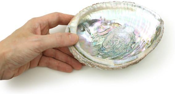 1pc Colorful Fashionable Large Abalone Shell Bowl,4-4.5 Inch Exquisite Natural Sea Shell Smudge Bowl for Sage Burning and Incense for Decor,Display and Great Gift,Incense and Incense Holders