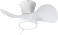 ocioc Ceiling Fans with Lights and Remote, 22 inch Ceiling Fans with Reversible Quiet DC Motor, Flush Mount, 3CCT, White Ceiling Fan for Bedroom Indoor/Outdoor