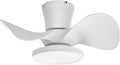 ocioc Quiet Ceiling Fan with LED Light 22 inch Large Air Volume Remote Control for Kitchen Bedroom Dining Room Patio