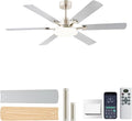 NKPU 56 Inch Ceiling Fans with Lights, Large Modern Nickel Ceiling Fan with Light and Remote Control, 6 Double Sided Blades, 6 Speed DC Motor, Dimmable LED, Silent Timing, Indoor Outdoor Patio Use