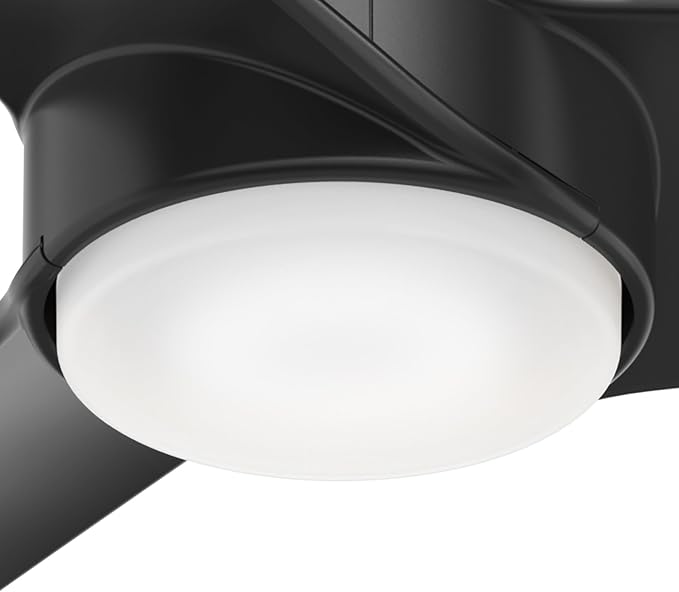 Hunter Havoc, Outdoor or Indoor, Ceiling Fan, Quiet, 54 inch, Matte Black
