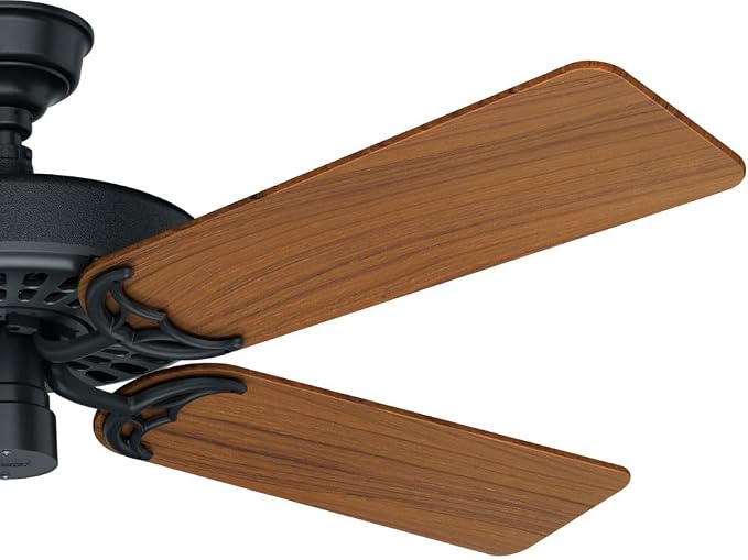 Hunter 52 inch Outdoor or Indoor Ceiling Fan No Light - Black Ceiling Fan without Light, For Patio, Porch, Garage, Living Room, Standard Mount, 5 Teak Blades, Pull Chain - Original 23863, Matte Black