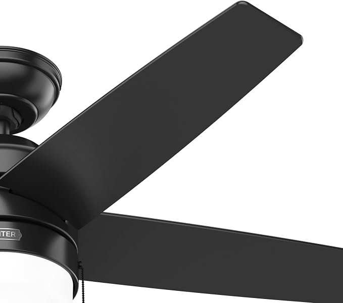 Hunter Bardot, Indoor, Ceiling Fan, Modern, 5 Blades, 44 inch, Matte Black