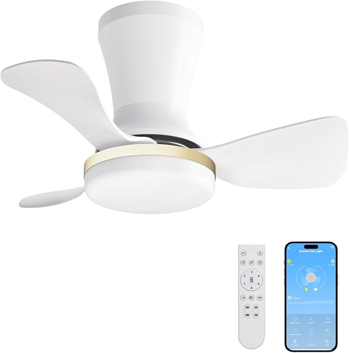 LANMEL 22 Inch Flush Mount Ceiling Fan with Light and Remote, Low Profile Modern Ceiling Fan, 6 Speed, Reversible, 3000k-6500k Dimmable LED, Quiet DC Motor for Indoor Outdoor, White Gold