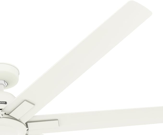 Hunter Downtown Indoor/Outdoor Ceiling Fan, Wall Control (Matte White, 72 inch)