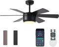 SHOWDI Black Ceiling Fans with Lights and Remote, Quick Installation, 42 in | 2 Blade Color, Metal Material, App Remote Control, Timer, Reversible, 3CCT, Dimmable for Bedroom, Living room, Indoor
