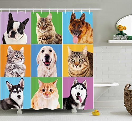 Ambesonne Animal Shower Curtain, Various Dog and Cat Portraits Puppies Kittens Pet Company Funny Humor Design, Cloth Fabric Bathroom Decor Set with Hooks, 69" W x 70" L, Green Blue