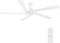 WINGBO 64" DC Ceiling Fan No Lights, 5 Carved Solid Wood Blades, 6-Speed Reversible DC Motor, White Finish Ceiling Fan without Lights, White