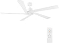 WINGBO 54 Inch DC Ceiling Fan without Lights, 5 Reversible Carved Solid Wood Blades, 6-Speed Noiseless DC Motor, Modern Ceiling Fan No Light for Bedroom Living Room Kitchen, White