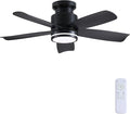 Wiviniya Ceiling Fans with Lights and Remote Control, 41 inch Low Profile Flush Mount Ceiling Fan, 3 CCT LED Dimmable Lights 5 Reversible Plastic Blades 6 Speeds for Bedroom Living Room, Black