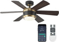 SHOWDI Ceiling Fans with Lights and Remote, Black-Gold, 42 in | 2 Blade Color, Metal Material, App Remote Control, Timer, Reversible, 3CCT, Dimmable for Bedroom, Living room, Indoor