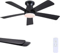 46"Modern Black Low Profile Flush Mount Ceiling Fans with Light and Remote | Super Large Airflow with 6 Wind Speeds, Reversible, Dimmable 3CCT LED Light, Quiet 30W DC Motor,for Bedroom Kitchen