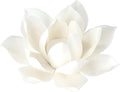 Leadigol White Lotus Incense Holder,3.9 Inch Ceramic White Lotus Incense Burner,Ceramic Flowers Stick Incense Burner Holder,for Home Decor
