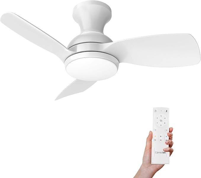 Consciot Ceiling Fan With Lights 30 Inch, Kids Ceiling Fan White Modern, Flush Mount, Reversible Quiet DC Motor, 6 Speed, Dimmable, Kitchen Bedroom Patio