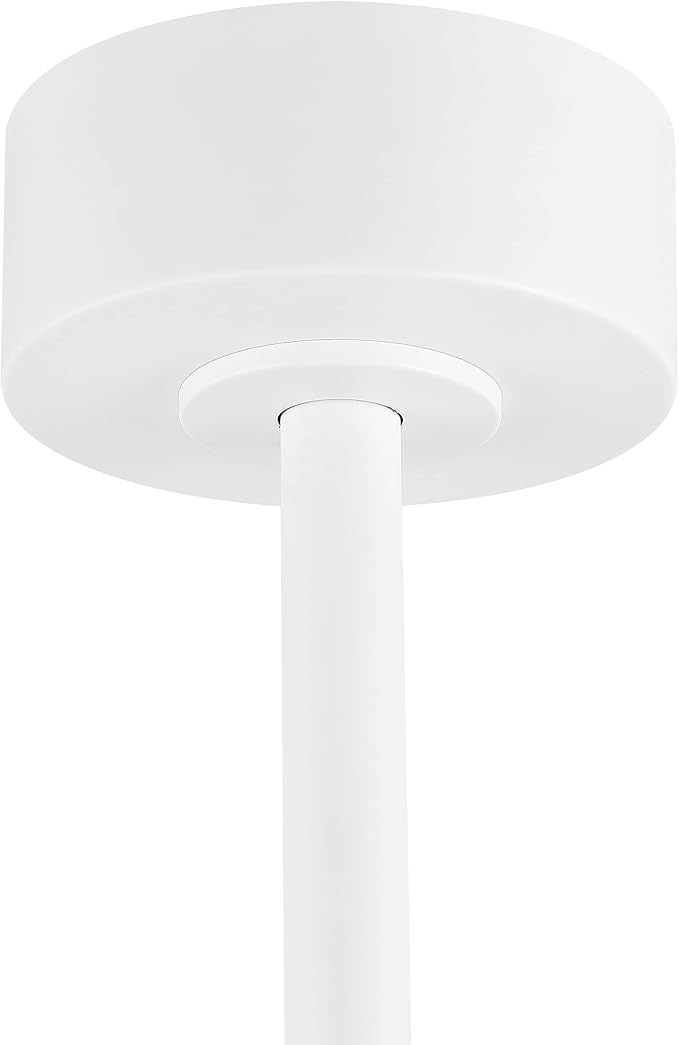WINGBO 64" DC Ceiling Fan No Lights, 5 Carved Solid Wood Blades, 6-Speed Reversible DC Motor, White Finish Ceiling Fan without Lights, White