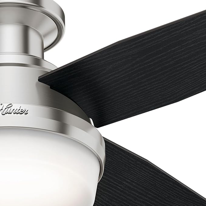 Hunter Dempsey, Indoor, Ceiling Fan, Modern, 44 inch, Brushed Nickel | with LED Light and Remote Control, Low Profile Mount, 4 Black Oak Blades, For Bedroom, Living Room, Kitchen, 59243