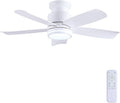 Wiviniya Ceiling Fans with Lights and Remote Control, 41 inch Low Profile Flush Mount Ceiling Fan, 3 CCT LED Dimmable Lights 5 Reversible Plastic Blades 6 Speeds for Bedroom Living Room, White