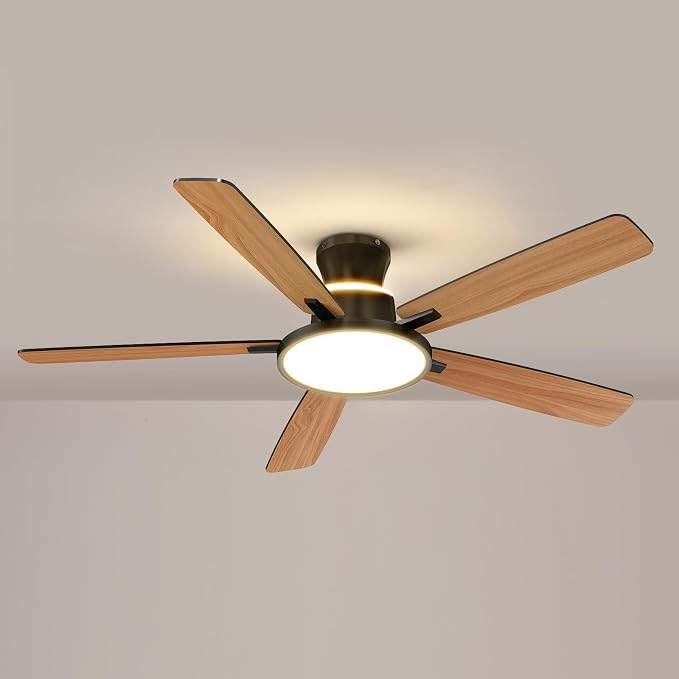 Ceiling Fans with Lights,52 inch,Quiet,Reversible Motor,Dimmable, Adjustable Color Temperature,6 Speeds,Timer, Low Profile Ceiling Fan for Bedroom,Living Room,Indoor/Outdoor Use (Black)