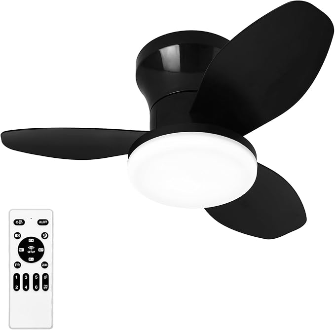 Small Ceiling Fan with Lights, 25" Flush Mount with Remote Control | Reversible Quiet DC Motor,Black,3 Blades,6 Speeds,Dimmable LED,Adjustable Color Temperature,Timer,for bedroom Kitchen indoor