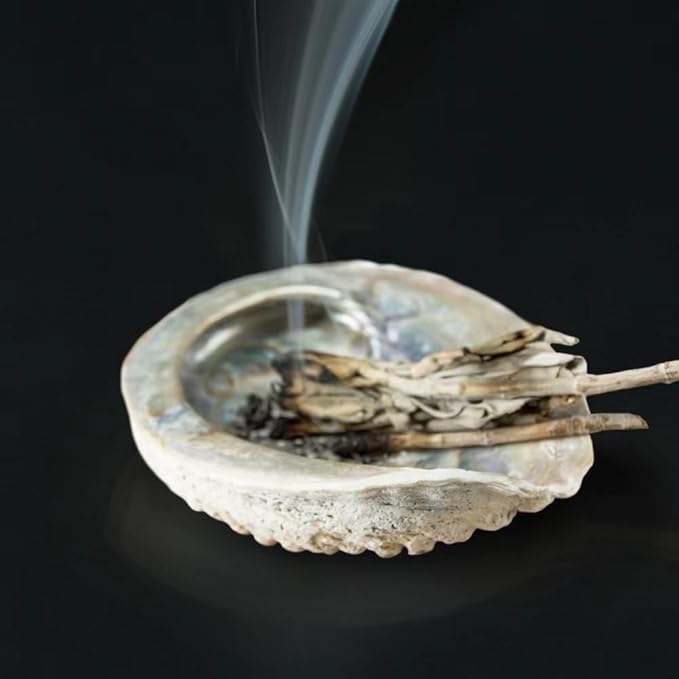 Colorful Fashionable Large Abalone Shell Bowl, 4-4.5 Inch Exquisite Natural Sea Shell Smudge Bowl for Sage Burning and Incense for Decor, Display and Great Gift, Incense Holders, Decorations