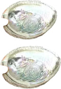 2pc Colorful Fashionable Large Abalone Shell Bowl,4-4.5 Inch Exquisite Natural Sea Shell Smudge Bowl for Sage Burning and Incense for Decor,Display and Great Gift,Incense and Incense Holders