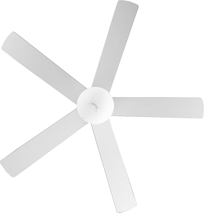52 Inch Ceiling Fan with Light and Remote, Indoor & Outdoor Brushed Gold Ceiling Fan for Living Room Garage, Quiet DC Motor, Timer, 6 Speeds