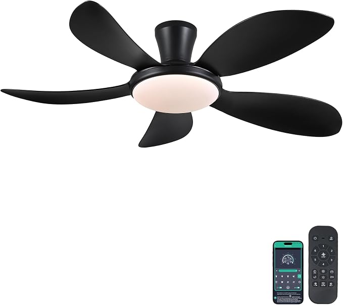 PHORUS 48"Black Low Profile Flush Mount Ceiling Fans with Lights and Remote | Supports Remote and APP, 6 Wind Speeds, Reversible, Dimmable 3 CCT LED, 30WNoiseless DC Motor,Timer, for Bedroom Kitchen