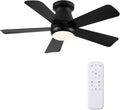 Hounberi 40 Inch Modern Low Profile Ceiling Fan with Light and Remote Control, Quiet 3CCT Dimmable LED Flush Mount Fan for Bedroom Living Room, 5 ABS Blades Reversible Motor, Black