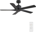 WINGBO 48" DC Ceiling Fan No Light - 5 Carved Solid Wood Blades, 6-Speed Reversible DC Motor, Ceiling Fan without Lights for Living Room Bedroom Kitchen Patio, Indoor and Outdoor, Matte Black