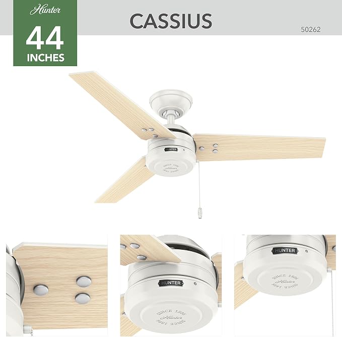 Hunter Cassius, Outdoor or Indoor, Ceiling Fan, 44 inch, Fresh White | Covered patios and porches get a no-light design, droop-free blades, and compact scale for offices or small rooms.
