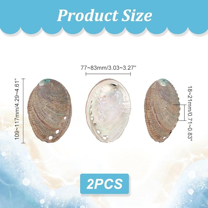 AHANDMAKER 2 Pieces Abalone Shell 3-4.5 inch Polished Abalone Shell White Sage Burner Holder Smudge Bowl Incense Burner for White Sage Decorate for Fish Tank View
