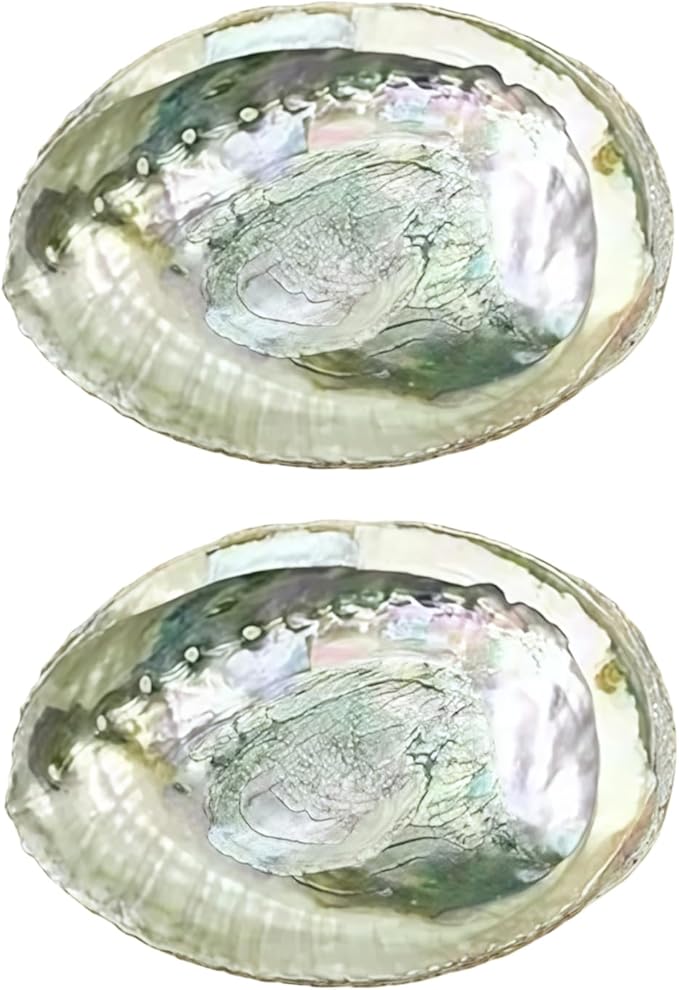 2Pcs Colorful Fashionable Large Abalone Shell Bowl,4-4.5 Inch Exquisite Natural Sea Shell Smudge Bowl for Sage Burning and Incense for Decor,Display and Great Gift,Incense and Incense Holders