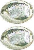 2Pcs Colorful Fashionable Large Abalone Shell Bowl,4-4.5 Inch Exquisite Natural Sea Shell Smudge Bowl for Sage Burning and Incense for Decor,Display and Great Gift,Incense and Incense Holders