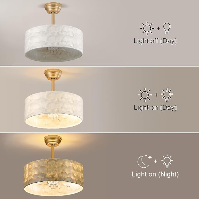 Boho Chandelier Ceiling Fan, Capiz Shell Fandelier Ceiling Fan with Light and Remote Control, Coastal Caged Ceiling Fan for Bedroom,Living Room,Nursery,Foyer(6 Speed, Timing,Adjustable Height)