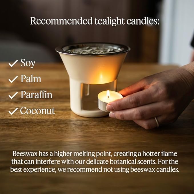 Soul Space Non Toxic Incense Holder/Burner & Incense Blends Starter Bundle| Scent Not Smoke: Zero Ash, Pure Aroma, Low-Smoke - Perfect for Heating Natural and Organic Incense | Color: Cream