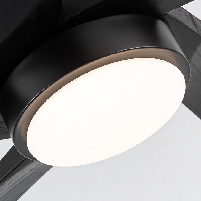 EKIZNSN 54 Inch Outdoor Low Profile Flush Mount Ceiling Fans with Lights for Patios, 110V Noiseless Reversible DC Motor, 6-Gear Speed (Black Finish with Black Blades)