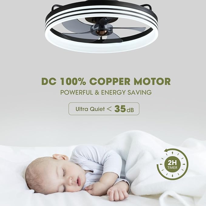 LUDOMIDE Ceiling Fan with Light, Flush Mounted Ceiling Fan with Lights, 6 Wind Speeds Smart Low Profile Fan for Bedroom, Kids Room and Living Room 20" (Black)