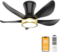 DAMINY 30 Inch Black and Gold 5 Blade Ceiling Fan with Light, Modern Ceiling Fan with Remote,Large Airflow,Flush Mount,6CCT,Dimmable,Noiseless,Bedroom