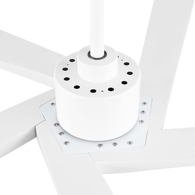 WINGBO 64" DC Ceiling Fan No Lights, 5 Carved Solid Wood Blades, 6-Speed Reversible DC Motor, White Finish Ceiling Fan without Lights, White