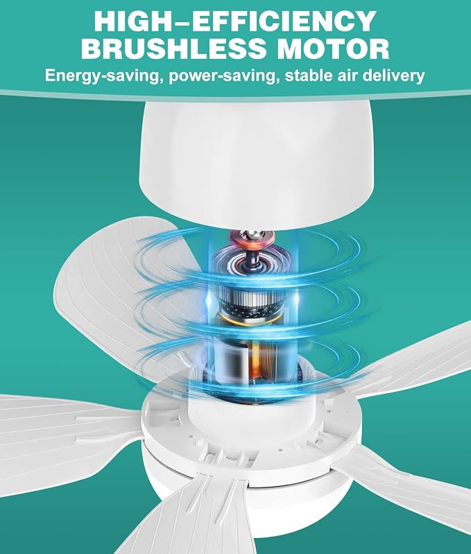 HK Socket Fan Light Small Ceiling Fan With Light and Remote, 20 Inch Screw-in for E26/E27 Base, 5 Speed Dimmable Mini for Bedroom Kitchen and Small Rooms, White