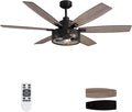 LuminFan 60 Inch Ceiling Fans with Lights and Remote Control, Farmhouse Ceiling Fan for Bedroom Living Room and Patio, Black Caged Ceiling Fan for Indoor and Outdoor