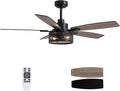 LuminFan 52 Inch Ceiling Fans with Lights and Remote Control, Farmhouse Ceiling Fan for Bedroom Living Room and Patio, Black Caged Ceiling Fan for Indoor and Outdoor