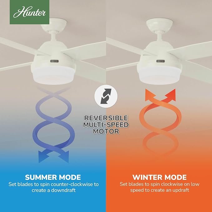 Hunter Dempsey, Outdoor or Indoor, Ceiling Fan, 52 inch, Fresh White | with LED Light and Remote Control, Standard Mount, 4 Blades, For Living Room, Patio, Porch, Garage, 59252