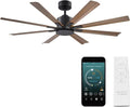 Modern Forms Size Matters Indoor and Outdoor 8-Blade 56in Smart Ceiling Fan in Matte Black/Distressed Koa with Remote Control