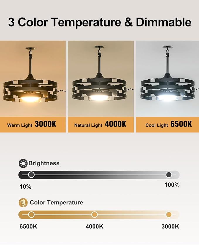 Roomratv 20" Outdoor Ceiling Fan with Light, Black Caged Ceiling Fan with Remote,Modern Enclosed Hanging Fan,IP65 Waterproof Plug in Fan for Gazebos, Patios and Porches